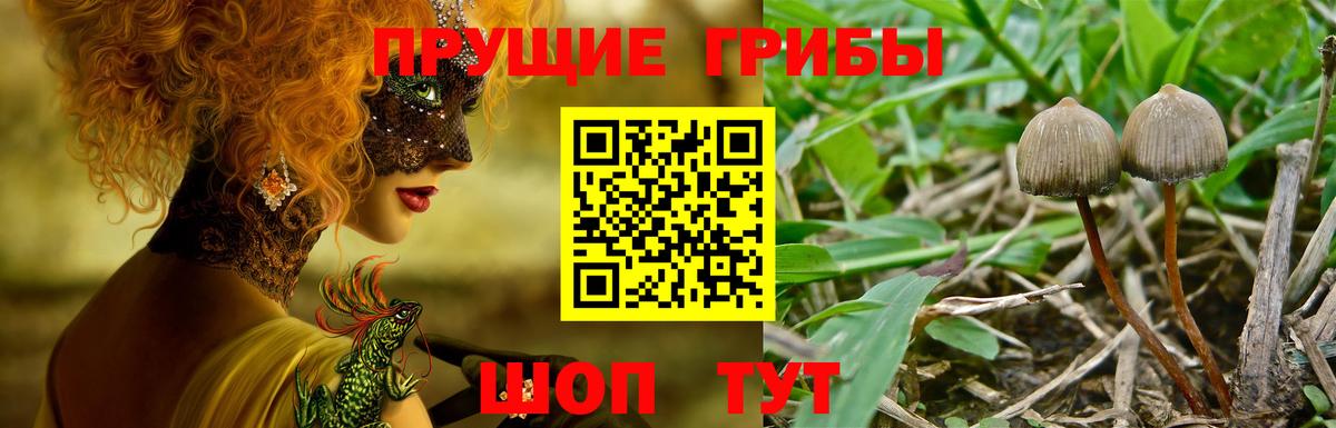 Галлюциногенные грибы Magic Shrooms Саров